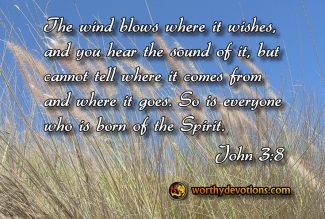The wind blows where it wishes, and you hear the sound of it, but cannot tell where it comes from and where it goes. So is everyone who is born of the Spirit.