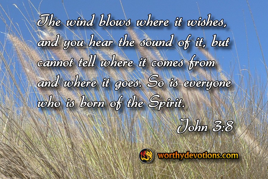The wind blows where it wishes, and you hear the sound of it, but cannot tell where it comes from and where it goes. So is everyone who is born of the Spirit.