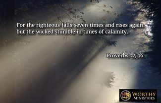proverb 24:16 fall rises again worthy devotions