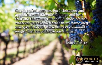 john-15-16-17-bear-fruit-worthy-ministries daily christian devotional